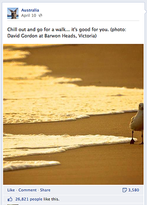 N5R, Roman Bodnarchuk, social media marketing, Australia, Australia Tourism