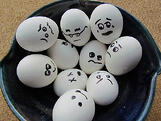 good bad eggs