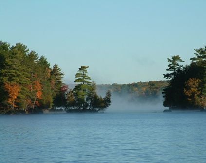 muskoka fog