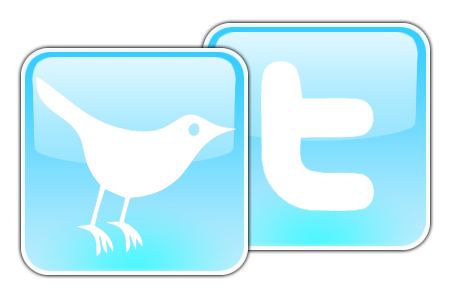 twitter logo resized 600